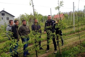 Mladi, otvorene su prijave za treći ciklus projekta Iuvenes Fructus