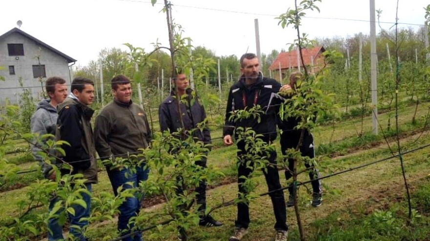 Mladi, otvorene su prijave za treći ciklus projekta Iuvenes Fructus