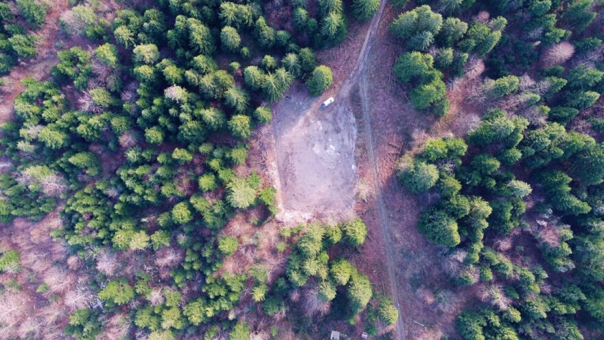 Hrvatskim šumama za strateški projekt Karlovac – Karst odobreno 190 milijuna kuna