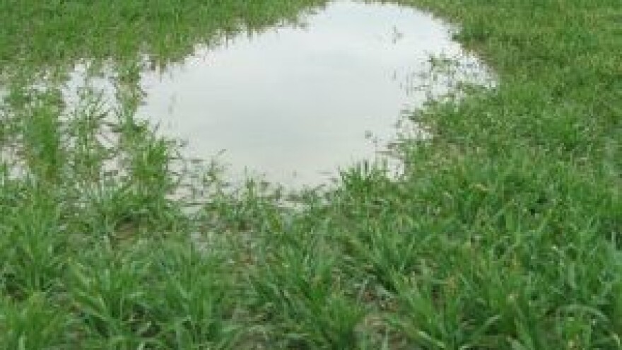 Što učiniti na oraničnim površinama prezasićenima vodom?