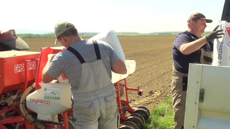 Mario Glavaš: Početak sezone je bio loš, ali za sjetvu su bili dobri uvjeti