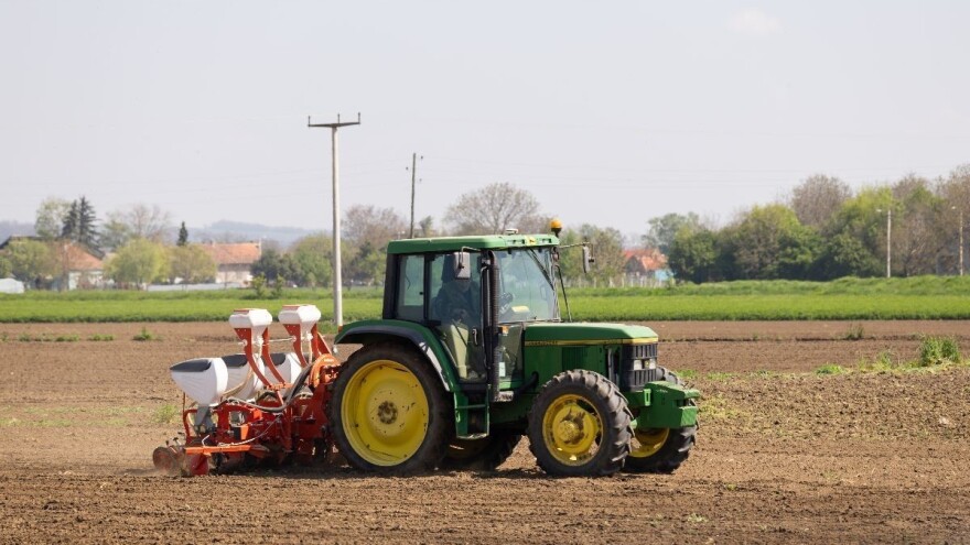 Nikada kasnija setva kukuruza: Šta možemo da očekujemo od ove godine?