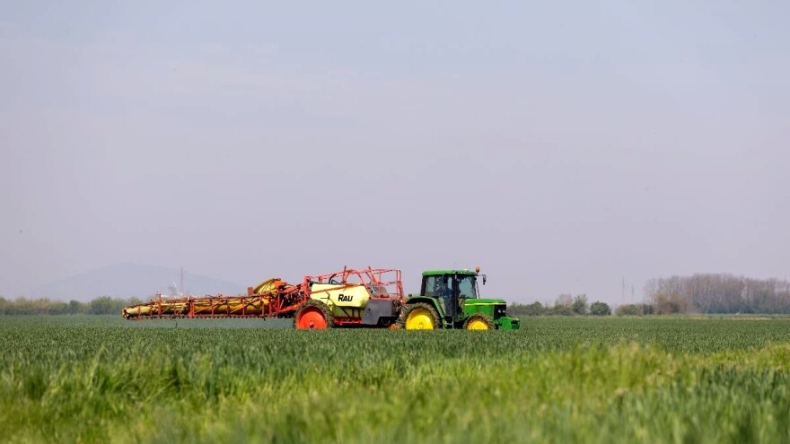 U kakvom je stanju pšenica i kako ju štititi u narednim danima?