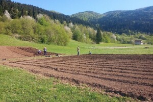 Povećani poticaji za poljoprivredne proizvođače u Goraždu