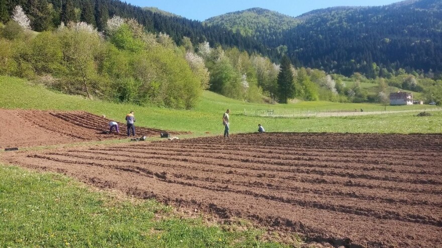 Povećani poticaji za poljoprivredne proizvođače u Goraždu
