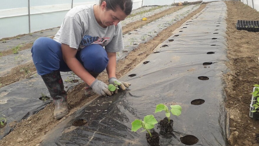 Poljoprivrednicima na raspolaganju gotovo 16 milijuna eura za povoljne zajmove