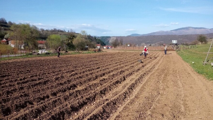 BiH provodi prvi popis poljoprivrede nakon 62 godine
