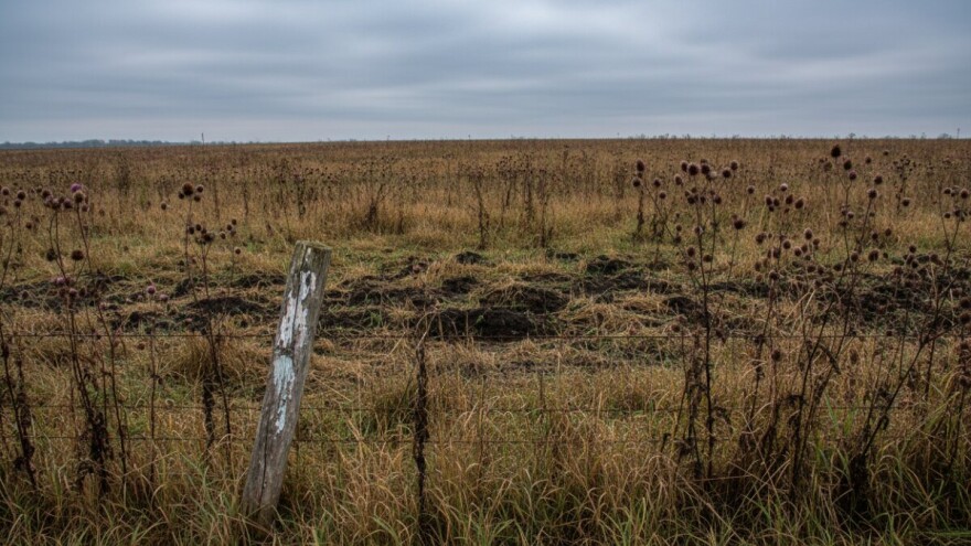 Promašena agrarna politika