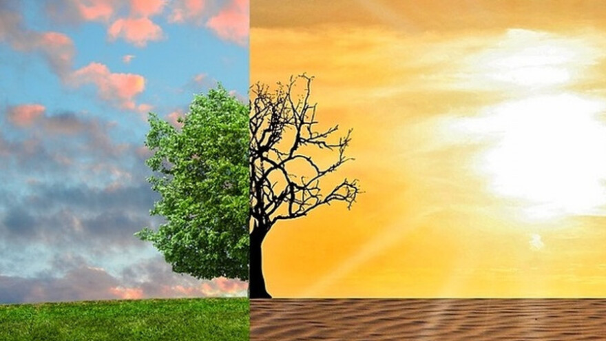 Klimatske promene ugrožavaju i životinje