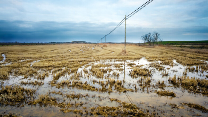 Promena klime utiče na poljoprivredu i šumarstvo