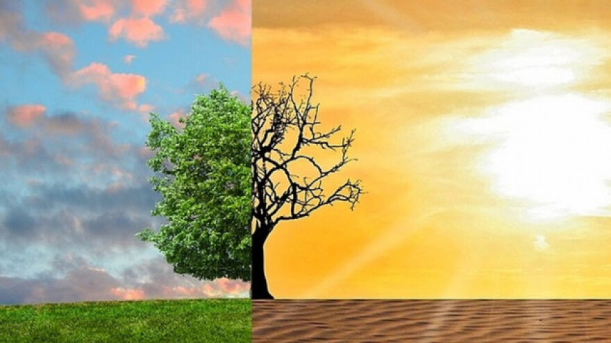 Klimatske promjene ugrožavaju i životinje