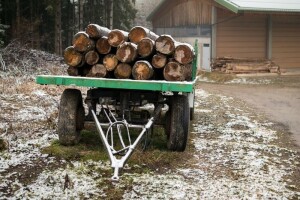 Kako spriječiti ilegalnu trgovinu drva?