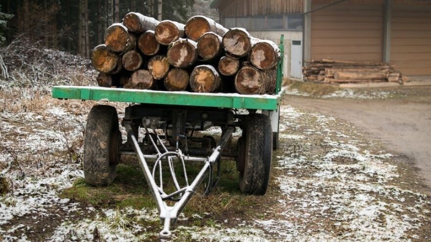 Kako spriječiti ilegalnu trgovinu drva?