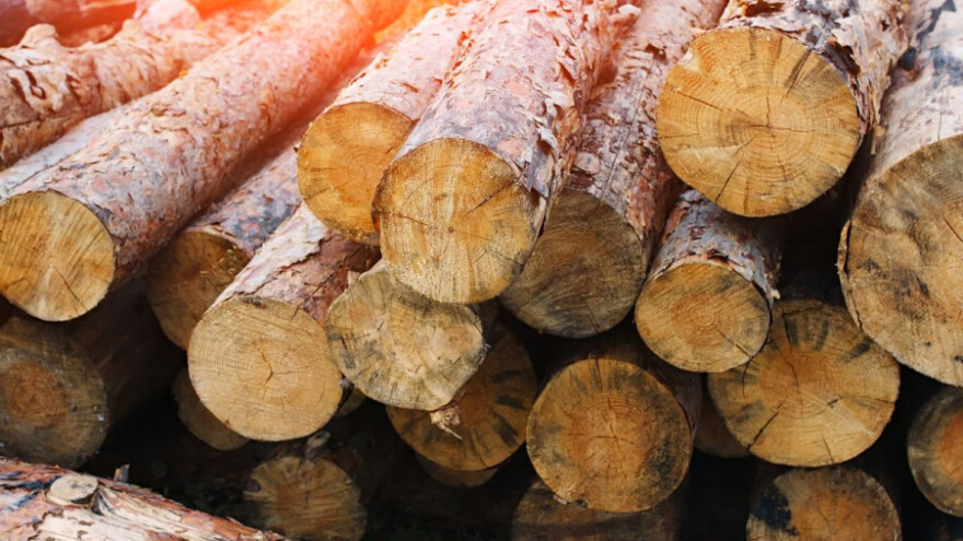 Javnost o prometu drva i proizvoda od drva