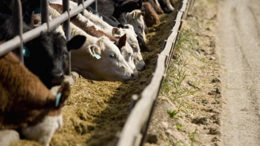 S Makedonijom potpisan Protokol o prometu hrane
