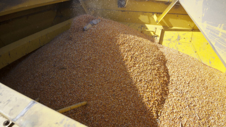 Slaba ponuda pšenice i soje