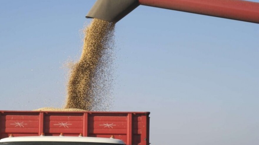 Da li je proleće "probudilo" tržište žitarica?