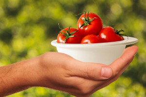 Za promociju poljoprivrednih proizvoda 179 milijuna eura
