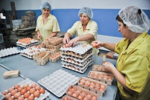 Sufinanciranje informiranja i promocije poljoprivrednih proizvoda