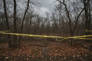 Pronađeno više od 50 odranih leševa predatora