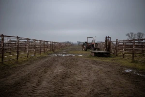 Propada jedini stočni sajam u Đakovštini