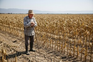 Propada nam ljetina - a gdje je NAPNAV?
