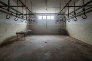 Propast slavonskih klaonica