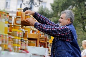 Propolis - čuvar košnice i zdravlja!