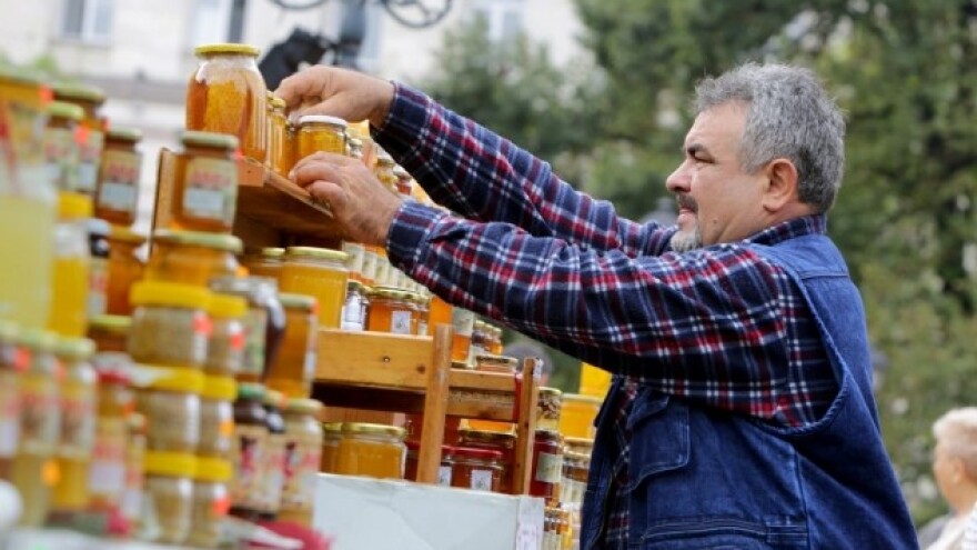 Propolis - čuvar košnice i zdravlja!