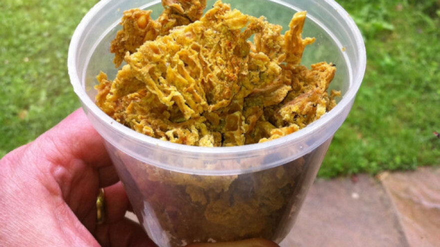 Sakupljanje propolisa prije mraza