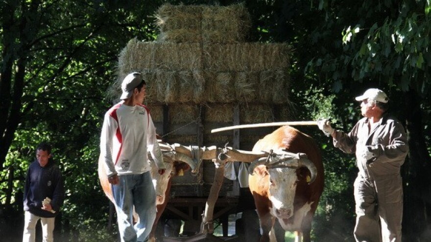 55,3 milijardi eura EU izdvaja za poljoprivredu