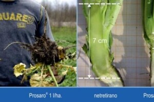 Ostvarite maksimalan prinos uz optimalna ulaganja