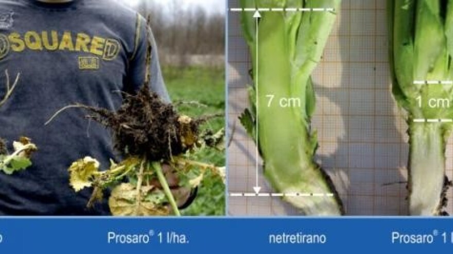 Ostvarite maksimalan prinos uz optimalna ulaganja