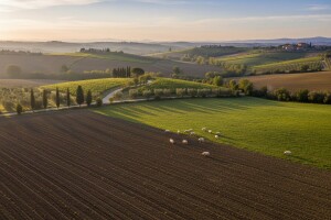 Prosječno poljoprivredno gospodarstvo koristi 5,7 hektara