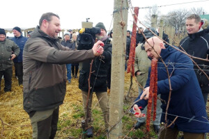 Proslavom sv. Vinka na pokušalištu FAZOS-a započela nova vinogradska godina