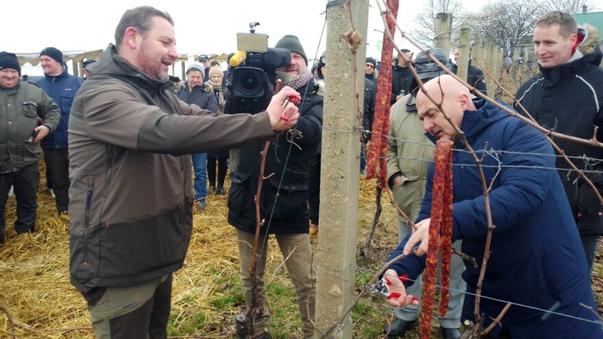 Proslavom sv. Vinka na pokušalištu FAZOS-a započela nova vinogradska godina