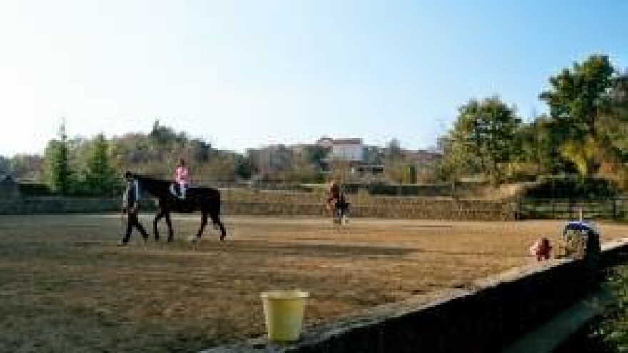 Glavice prepoznatljive po Jenjićevu Mustangu i kvalitetnom povrću