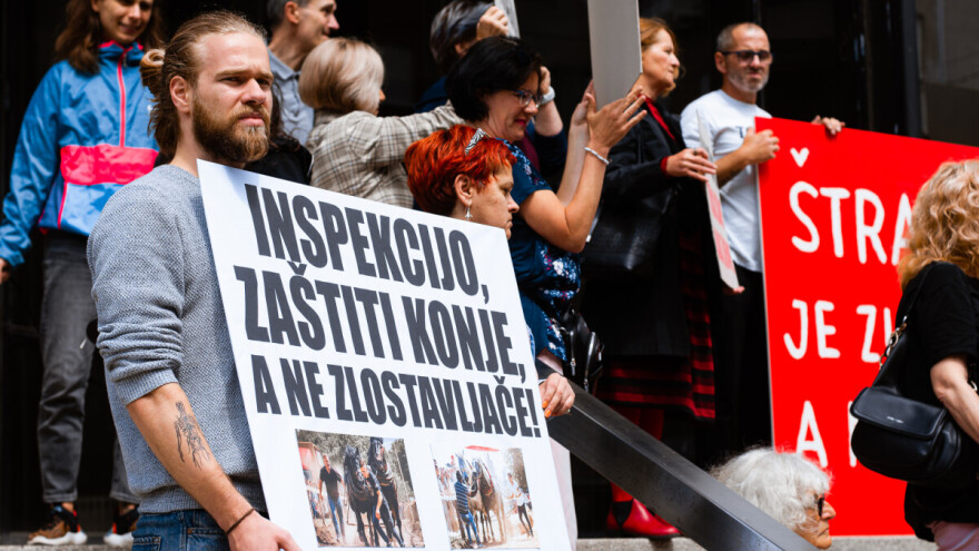 Mora u zatvor zbog zlostavljanja konja, ali dobio odgodu radi dobrobiti - konja?!