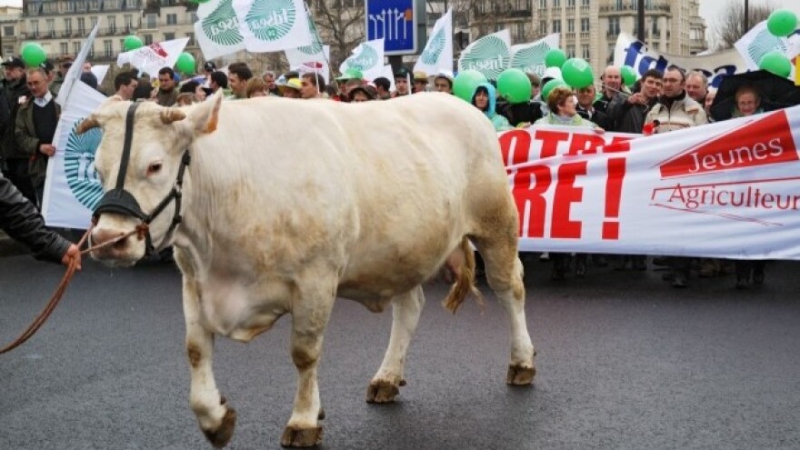 Optužuju trgovačke lance za utaju poreza