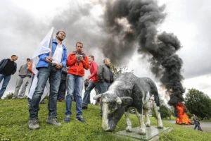 Belgijski farmeri na ulicama zbog mlečnih kvota!