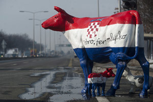Mljekari ustrajni, dijelit će mlijeko na Dolcu
