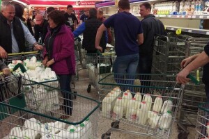 I britanski farmeri udarili na trgovce!