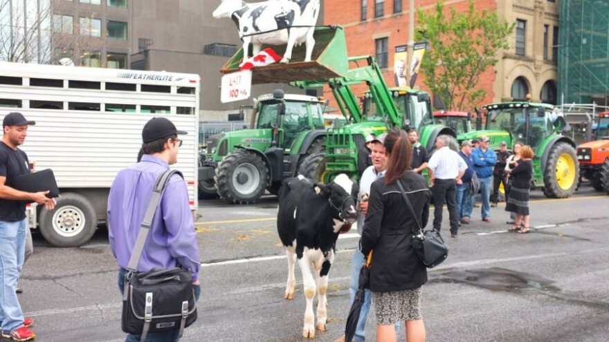 Europski proizvođači mlijeka najavili prosvjede