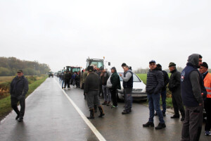 Protesti u Hrvatskoj se nastavljaju: Vlada sa svinjskim polutkama kao sindikat u SFRJ?