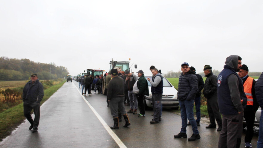 Protesti u Hrvatskoj se nastavljaju: Vlada sa svinjskim polutkama kao sindikat u SFRJ?