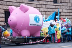 Protestuju portugalski odgajivači svinja