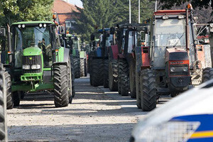 Čobanković: Ne može se dobiti nešto čega nema