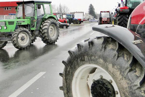 Pokrovčevi poljoprivrednici čekaju Kosor i Čobankovića