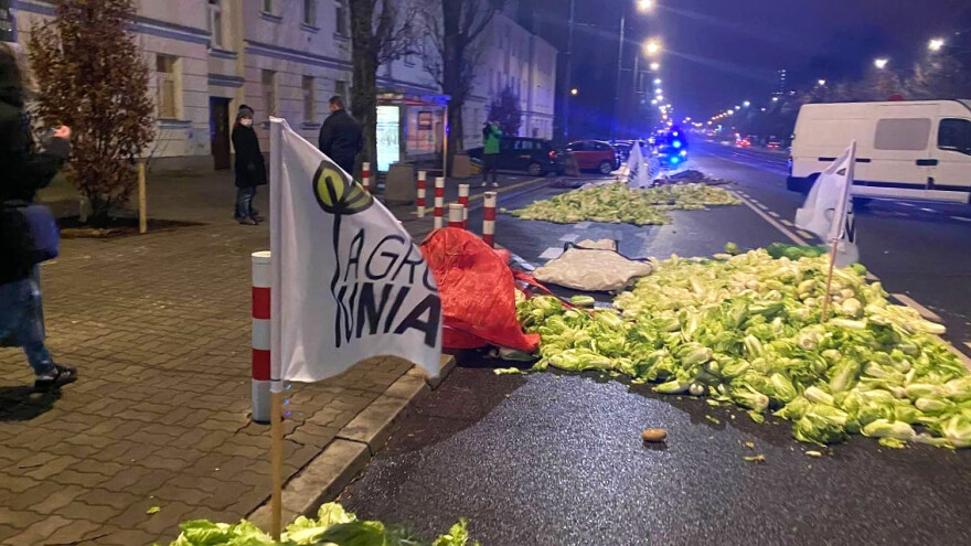 Poljski poljoprivrednici ispred kuće vicepremijera bacali jaja, kupus i zaklane svinje