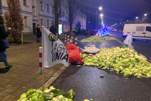 Poljski poljoprivrednici ispred kuće vicepremijera iskrcali jaja, kupus i zaklane svinje